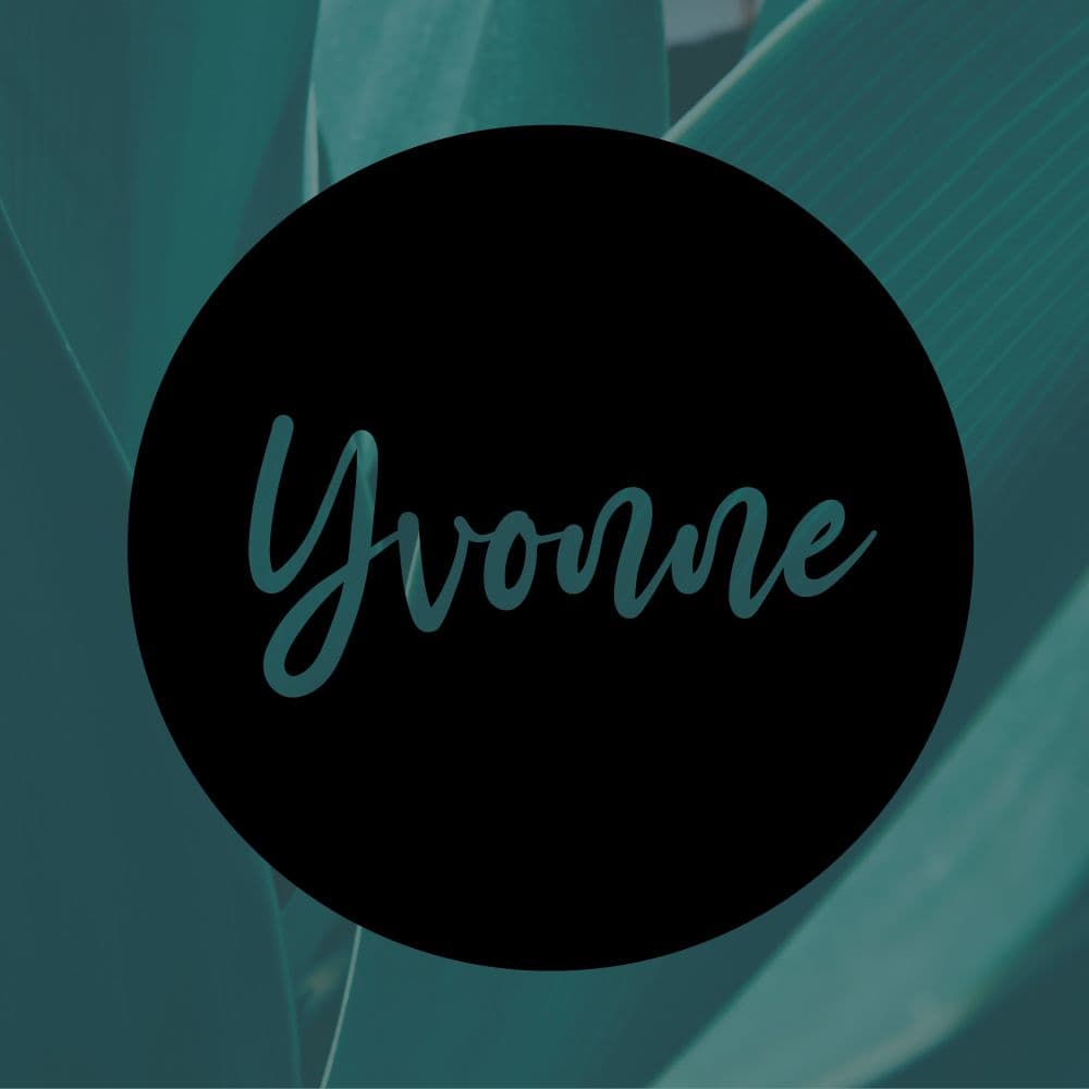 Bistro Yvonne - Restaurant Image