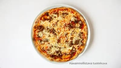 Kebab perhepizza
