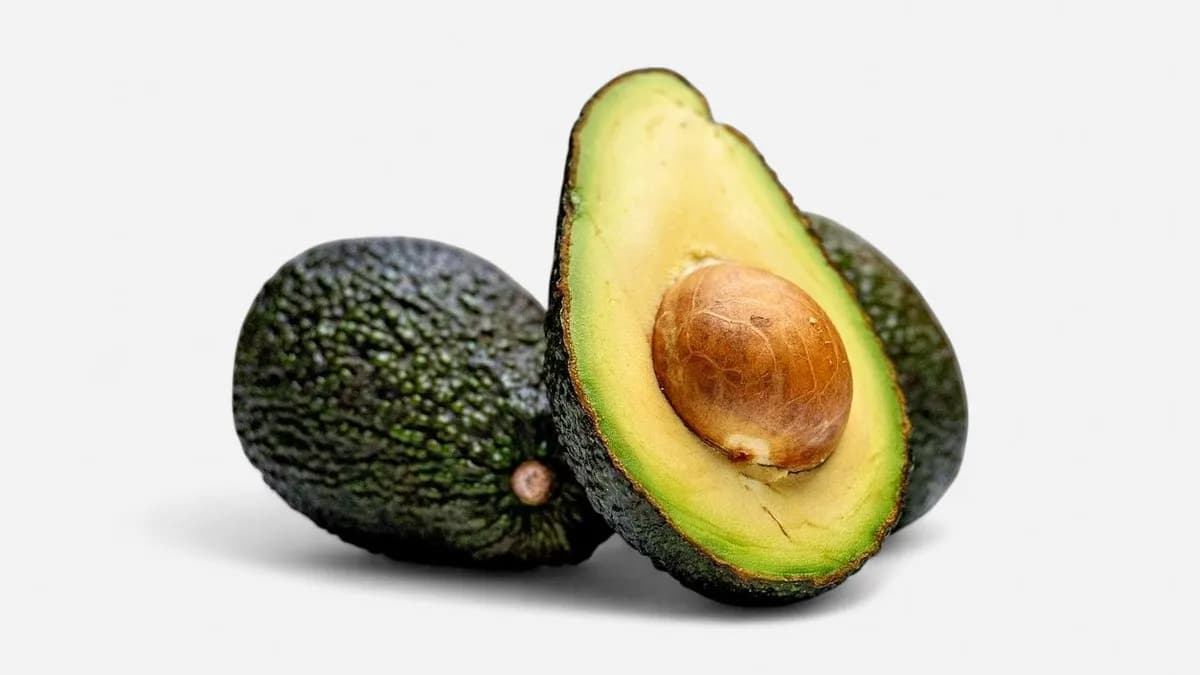 Avokadolisä
