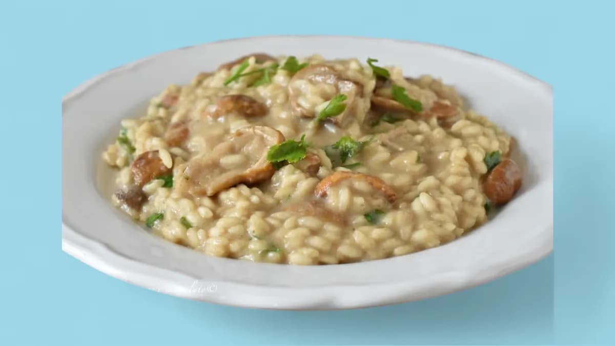Risotto Kanalla (L)