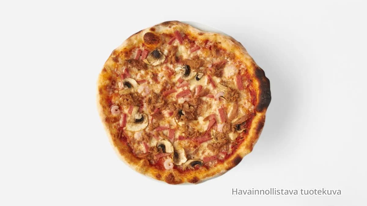 13. Quattro Stagione Pannupizza