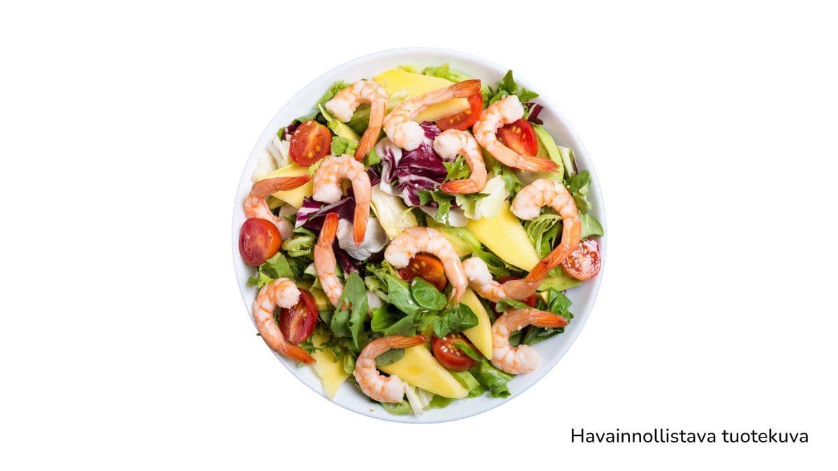 S3. Katkarapusalaatti