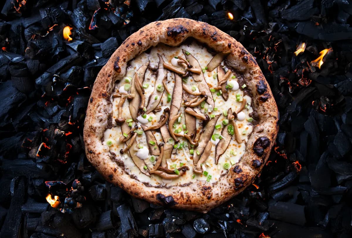 Funghi Fiesta (V/VG)