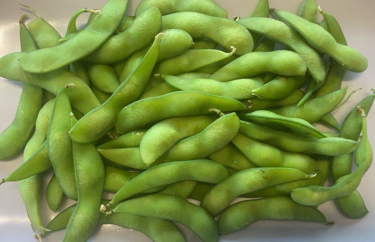 Edamame