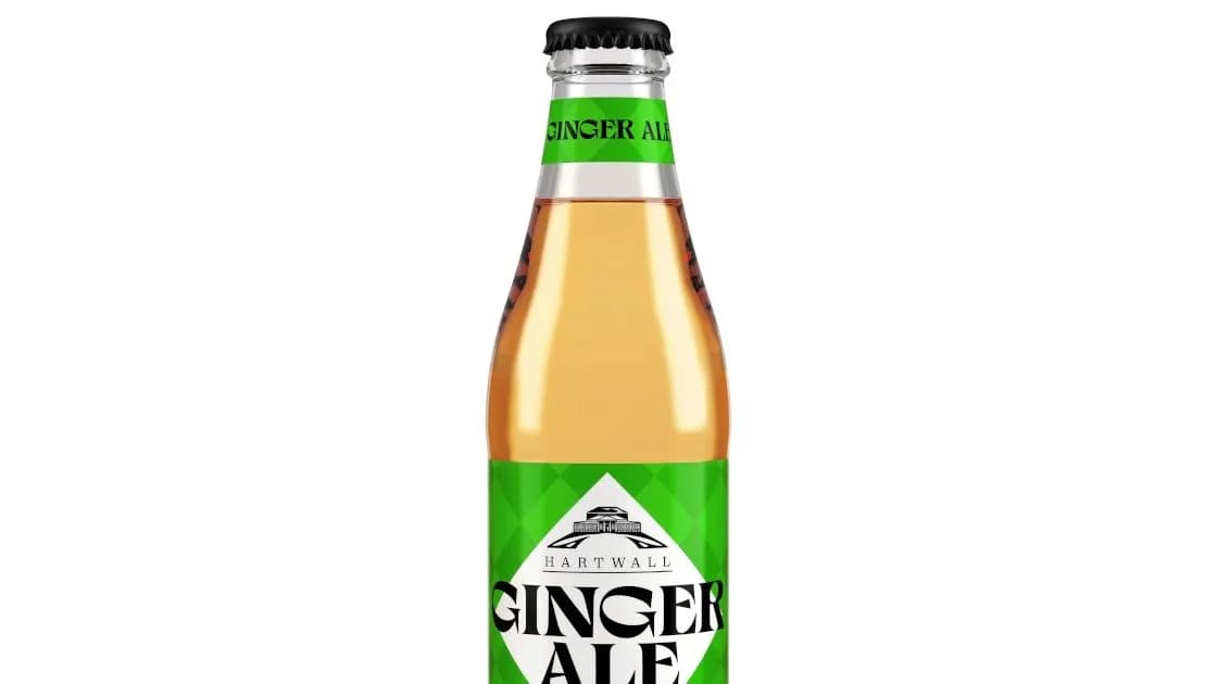 Ginger Ale 0,25