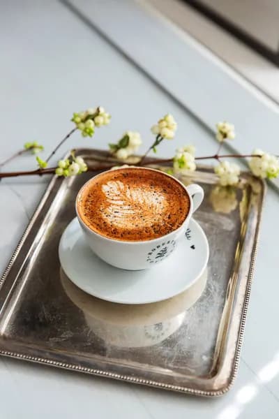 UUTUUS! Gingerbread Latte