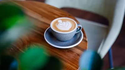 Flat White ☕️