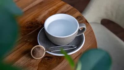 Loose Leaf Tea 🍵