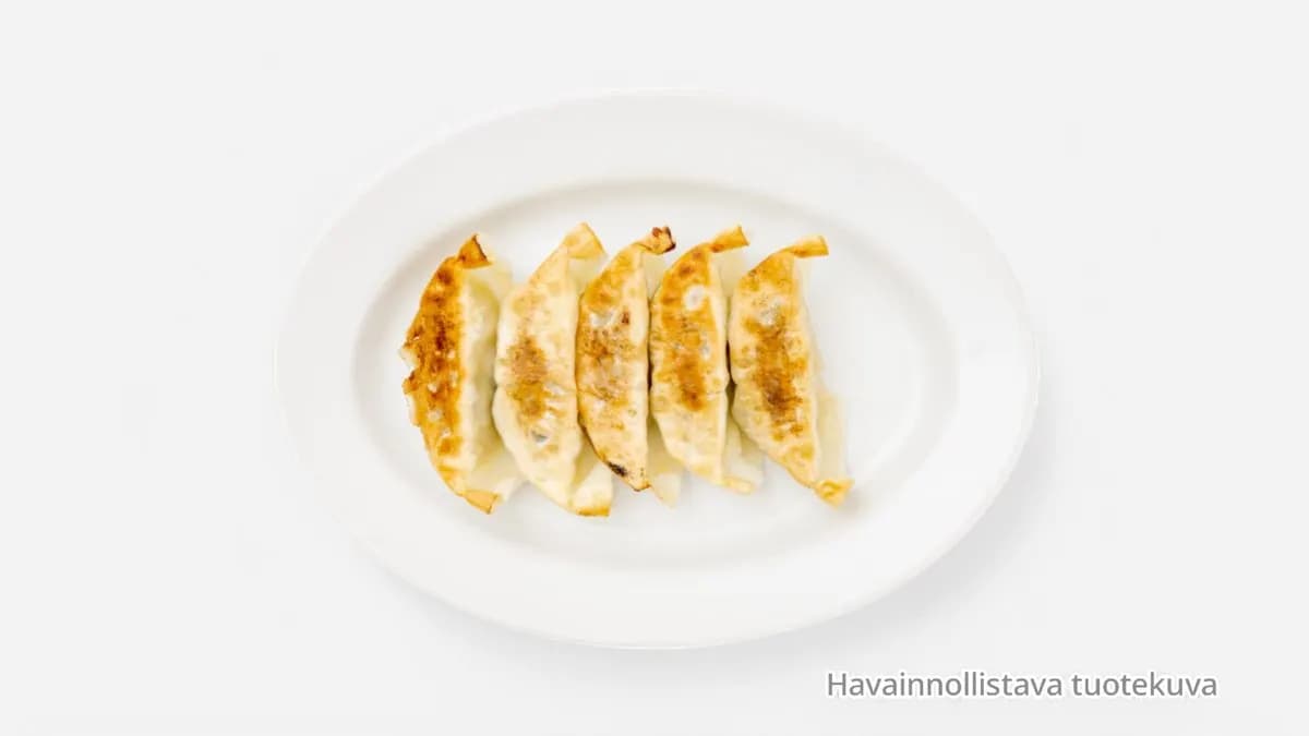16. Fried Dumplings
