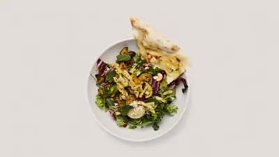 Vincent Vegan vol. II