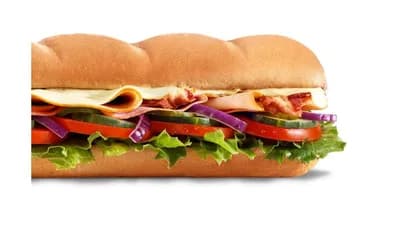Subway Melt™