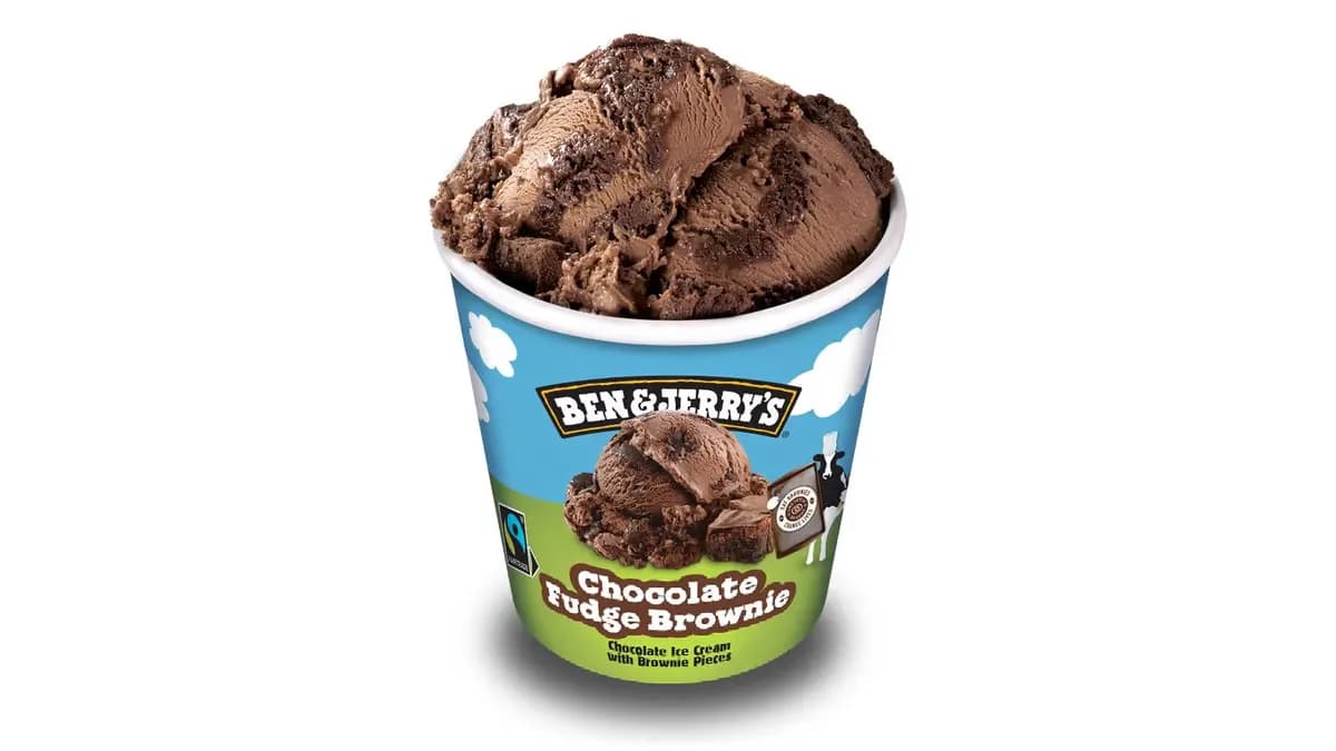 Ben Jerry's Chocolate Fudge Brownie