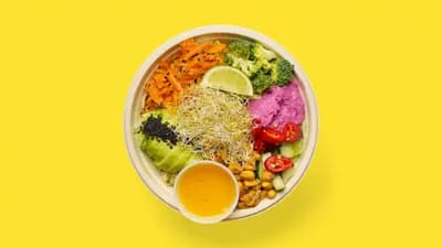 The Vegan Hero