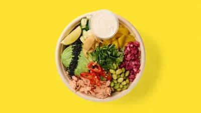 Mega Salmon SUOSIKKI!