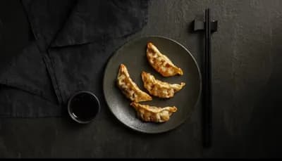 Gyoza kanalla 4kpl (L)