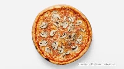 Vegan for life perhepizza