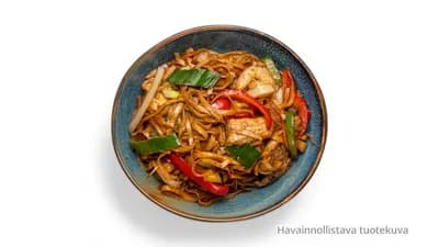 Pan Fried Noodles