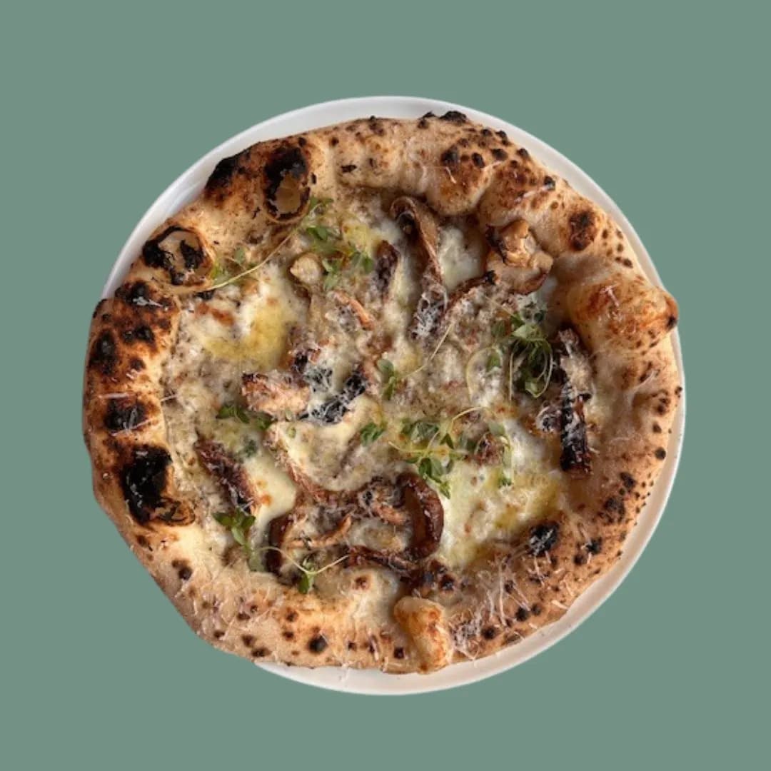 Canotto Funghi la la