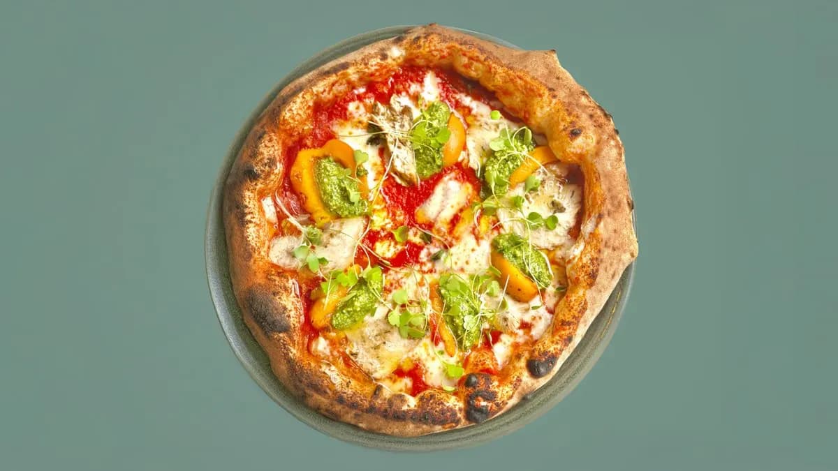 Canotto Aurora di Pollo