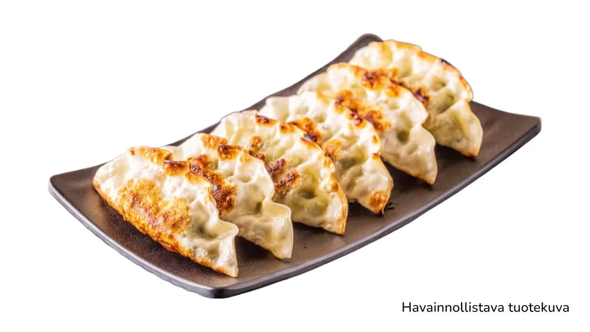 Japanese Veg Fry Gyoza ( L) 🌿 🌱