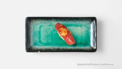 Tonnikalatahna nigiri